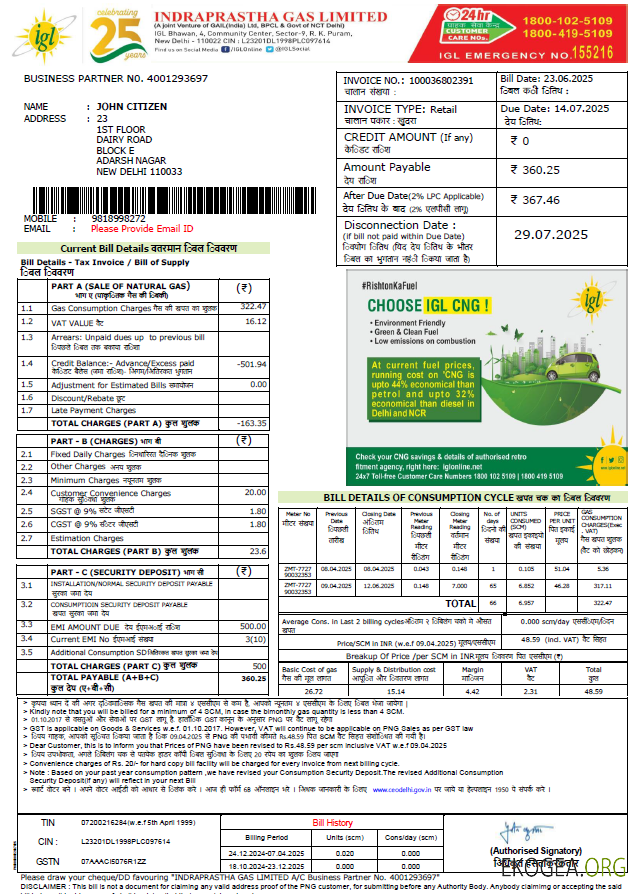 India Indraprastha gas utility bill template in word and pdf formats template